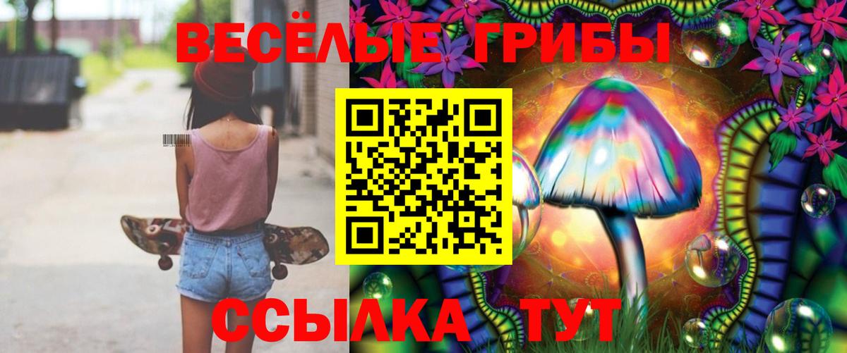 Черкесск  Псилоцибиновые грибы прущие грибы  Вход с VPN 
